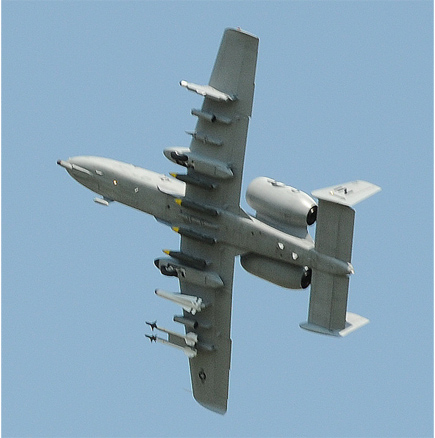 Warthog Giant Scaler
