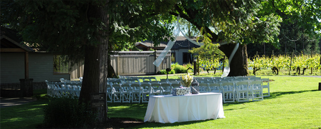 Ponzi Vineyard