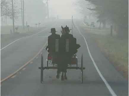 Amish Buggy on Foggy Ohio Road